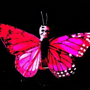 Meet your Posher, Devin